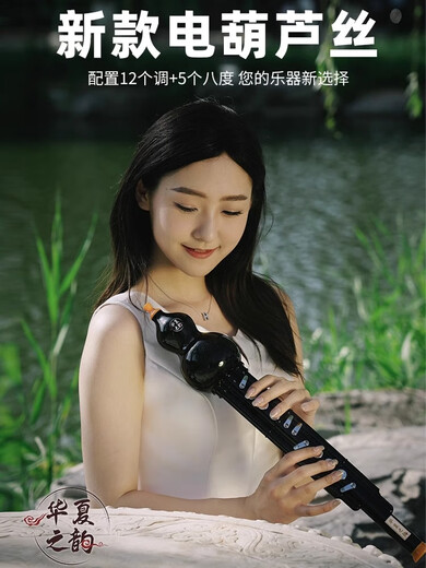 Shili Qingbo Chinas Reim elektrisches Hebezeug Seiden Musikinstrument Haus der elektronischen Hebezeuge Seidenblasen Elektronische Flöte Elektrische SA -SA -Benutzerdefinierte für Anfänger Gold Bambus Farbstandard