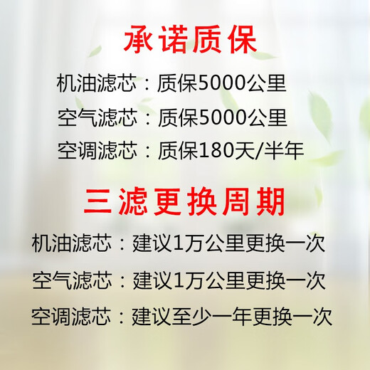 马勒保养 滤芯套装 空气滤+活性炭空调滤 别克GL8 2.0T 653T(20至24款)