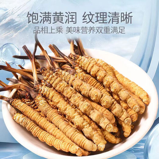 Wazang echte Cordyceps Cordyceps Geschenkbox in Kopf-Futures Trocken Cordyceps Cordyceps Cordyceps Höhere Höhe 2-3 Wurzeln/G 10g