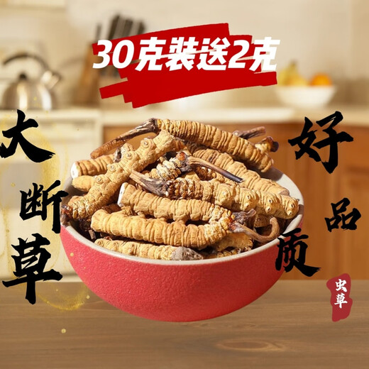 藏区冬虫夏草雪山天然冬虫夏草大断虫草自食大断草实惠煲汤干嚼 虫草大断草20克（发22克装)