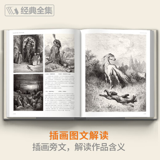 Complete collection of classics, hardcover Doré illustration collection, black and white print illustration collection, Chinese print album, Gustave Doré's original Western art master hand-painted album art collection, Yang Jianfei