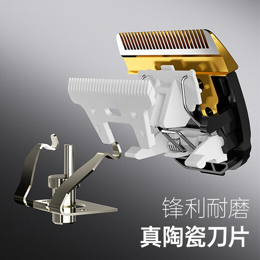 CHIGO Electric Hair Clipper Hair Clipper Electric Clipper Professional Household Adult Children Baby Shaving Hair Clipper Hair Clipper Self-Hairing Artifact Tool Complete Set 938Q