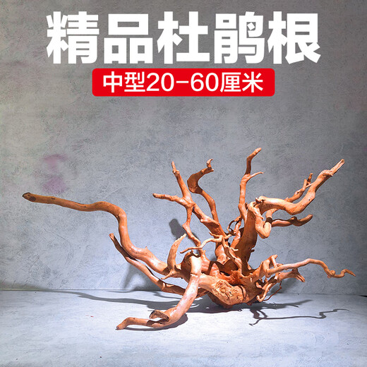 Natural sunken wood azalea root fish tank landscaping material habitat for fish and shrimp to avoid lizards climbing and pet arch bridge ornaments Selected medium-sized azalea roots 18-25 cm 2 pieces Selected azalea root sunken wood