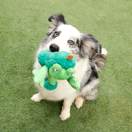 GiGwi Dog Toys Teething Paper Sound Cleaning Teeth Pulling Resistant Tug-of-War Accompanying Dog Plush Pet Toy