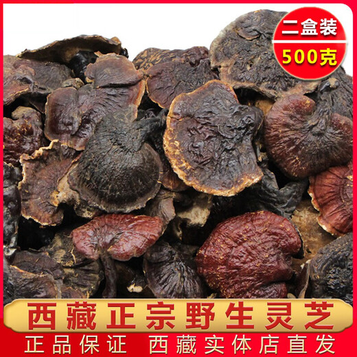 Yuan Clan Pure Wild Ganoderma lucidum, Tibet Echte Trockenwaren, Linzhi Red Zirkon, goldene Rand nicht-Sporen-Puderscheiben-Geschenkbox, 500 g Ganoderma lucidum Geschenkbox (500 g)
