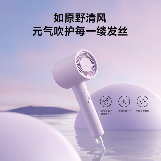 Mijia Xiaomi Negative Ion Hair Dryer H301 Quick-drying Hair Dryer Negative Ion Hair Care Circulating Nourishing Air Volume Gentle Hair Dryer Mijia Negative Ion Hair Dryer H301 Mist Purple