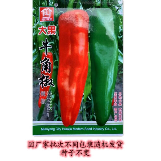 Large-fruited horn pepper seeds for field planting vegetable seeds in spring and autumn, high yield and early maturing pepper seeds, garden vegetable seeds, horn pepper seeds, about 800 seeds, 2 packs