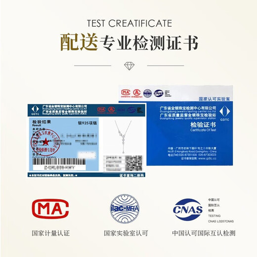 Crystal star 925 silver necklace women's birthday gift for girlfriend tassel clavicle chain high-end pendant best friend