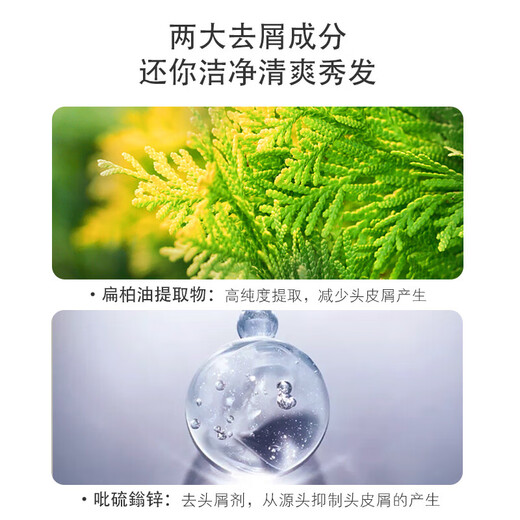 Light fragrance shampoo shower gel set oil control fluffy anti-dandruff soft fragrance hair care milk shampoo men and women shampoo fluffy shampoo 728g + flat cypress shampoo 728g