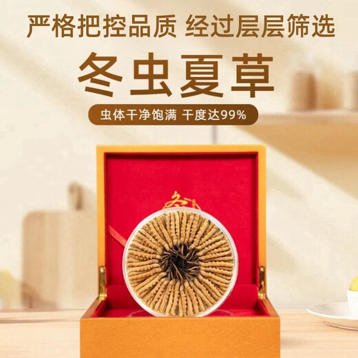Ausgewählte Cordyceps sinensis cordyceps sinensis hoher Höhe des Kopfstadiums Cordyceps sinensis Geschenkbox verfügbar. 2 1 Gramm Cordyceps sinensis in Tibet Nago Cordyceps sinensis 2 Stücke Cordyceps sinensis 1 Gramm