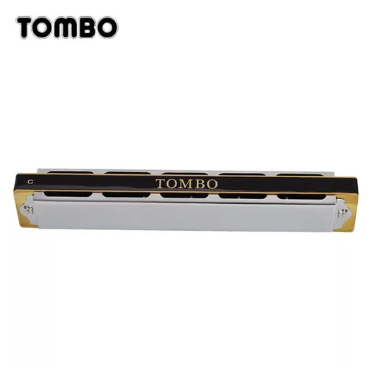 通宝（TOMBO）日本通宝TOMBO6624S初学者成人高级演奏24孔复音12调口琴 E调