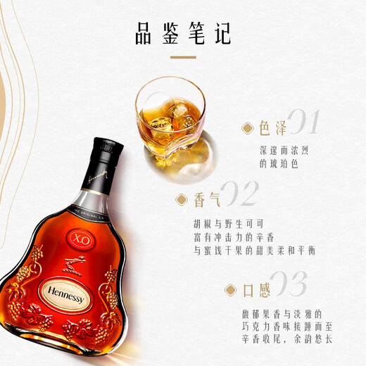 轩尼诗（Hennessy）【官方直营】轩尼诗XO干邑白兰地 700mL 2瓶 法国进口洋酒