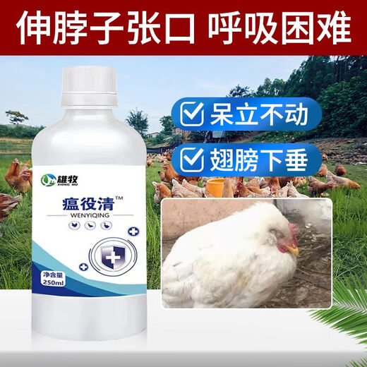 Xiong Mu Wen Ye Qing raises chickens, ducks and geese with malaise and plague, prevents chicken plague, coughs and snores, poultry feed additives 1 bottle of Wen Ye Qing 250ml