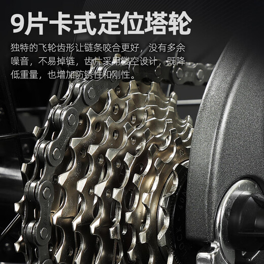Raleigh Lanling Magnesium Alloy Road Bike Взрослые мужчины и женщины-подростки Городские езды скорость Racing Racing Bik