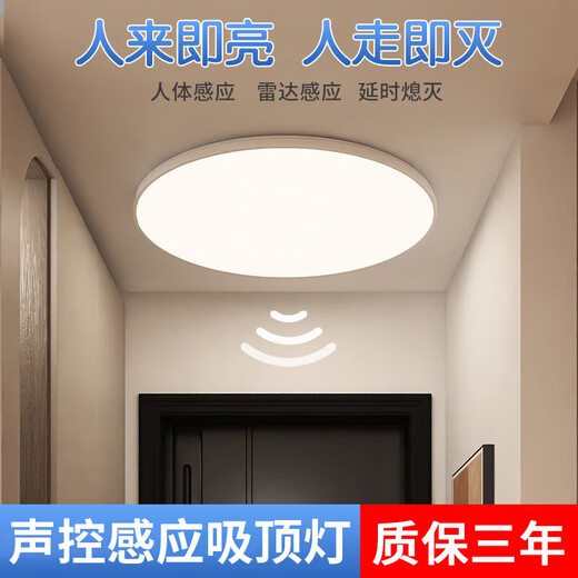 Fanyao infrared human body sensor lamp ultra-thin three-proof ceiling-mounted lamp stair aisle corridor corridor light smart lamp 48W-human body sensor