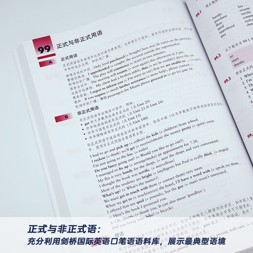 剑桥初级英语词汇（剑桥“英语在用”English in Use丛书 第二版中文版）