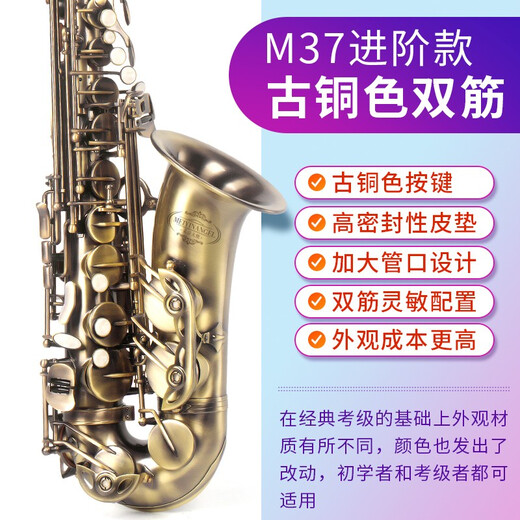 Angel of Sound E-flat alto saxophone instrument wind pipe for adult beginners professional performance examination model recommended by big names M37 bronze-upgraded double ribs + double mouthpieces + teaching