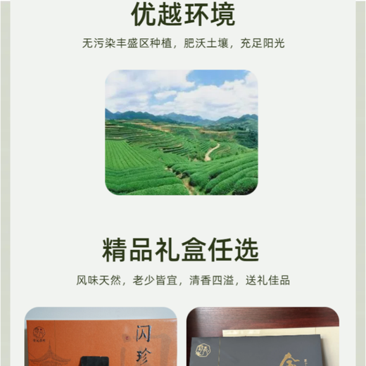 
Qiqin QI QIN TEA Pinghe Baibu Qilan Oolong Tea Geographical Indication Famous Tea Gift Box High-end Gift 25 Years New Tea Spring Tea Premium Gift Box-Gold Award