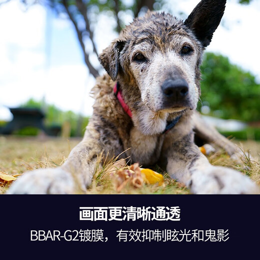 Tamron flagship store A063 28-75mm F2.8 G2 Tamron 28-75 second generation E-mount full-frame mirrorless zoom live video lens large aperture Tamron 2875mm second generation Nikon Z mount official standard comes with free Tamron UV filter + 64G high-speed card + cleaning set