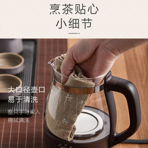 Bear Tea Maker Steam Spray Type Health Kettle Thickened Glass Tea Maker Black Tea Office Tea Steamer Mini Electric Kettle Insulation Small Tea Stove 1L Gift Gift ZCQ-A10X1 Insulation Spray Type Tea Maker 1L