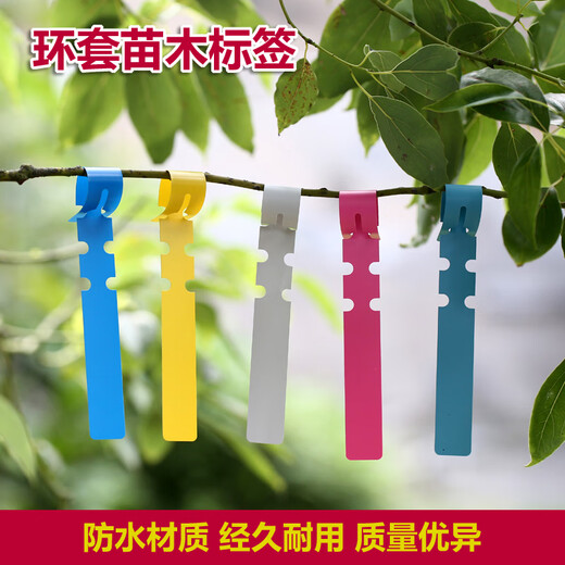 Shipton PVC waterproof ring set flower plant label sapling gardening label plastic orchid label ring buckle tag ring set-yellow (100 photos)