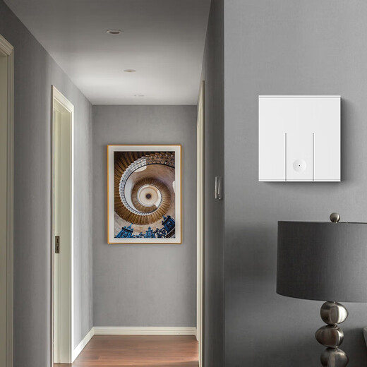 International electrician wireless switch remote control socket panel wall remote smart mother-in-law dual-open dual-control wiring-free bedroom free to stick white one-open set free AA battery