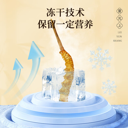 Lei yunshang [offiziell] Cordyceps Geschenkbox Auswahl gefriergetrockneter Cordyceps Gesundheitsgänzungsmittel Geschenkgeschenk [Leichtes Luxusgeschenk] Cordyceps 4 Wurzeln/G 10g etwa 40 Wurzeln