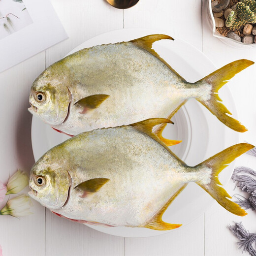 Xiangtai Hainan second-stripped golden pomfret 700g/2 pieces, grilled fresh fish with gills and internal organs removed, seafood and aquatic products