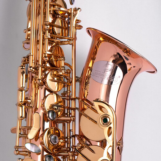 
Jinbao Saxophone JBAS-1010 mid-E flat saxophone rating performance Western wind instruments