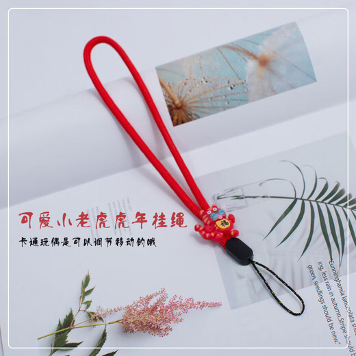 Yidian, Gott des Vermögens digitaler Set, Datenkabel, Klammer, Lanyard, AD-3523
