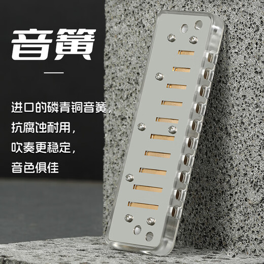 BoogieMAN [Same Model in Yuanyuan] Dolphin PADDY harmonica ten holes blues adult professional beginner blues 10 holes