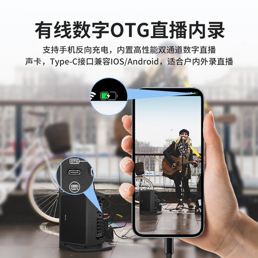 Ailip T10PLUS audio built-in sound card live broadcast internal recording home outdoor portable karaoke instrument singing electric blowpipe saxophone guitar bluetooth high-power speaker official flagship T10plus black standard