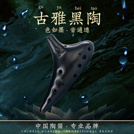 TNG 陶笛12孔中音专业陶笛十二孔熏烧黑陶初学乐器配陶笛教材 磨砂黑AC中音C
