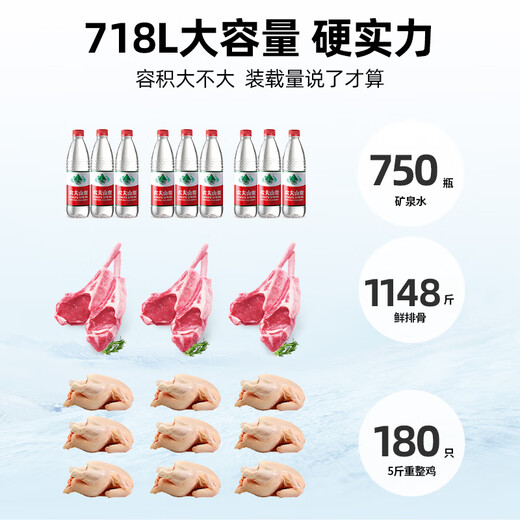 Xingxing (Xingx) Freezer 518 congélateur commercial Réfrigération de réfrigération de grande capacité Réfrigération horizontale à température à température à température fraîche Freinteur de gardien de fraîche