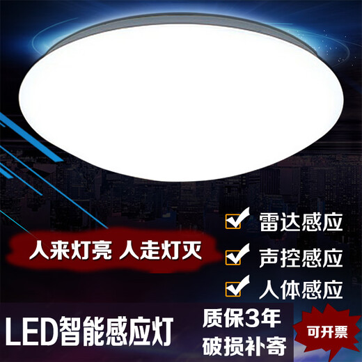 雷雷智光 LED雷达自动感应声光控吸顶灯家用过道楼道玄关车库用 人体感应灯 白色 21CM12w人体感应
