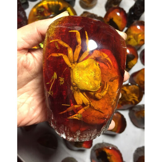 Fat Donglai's same high-quality amber raw stone, artificial amber beeswax raw stone, real insect specimen ornaments, crab Zhizhi original film