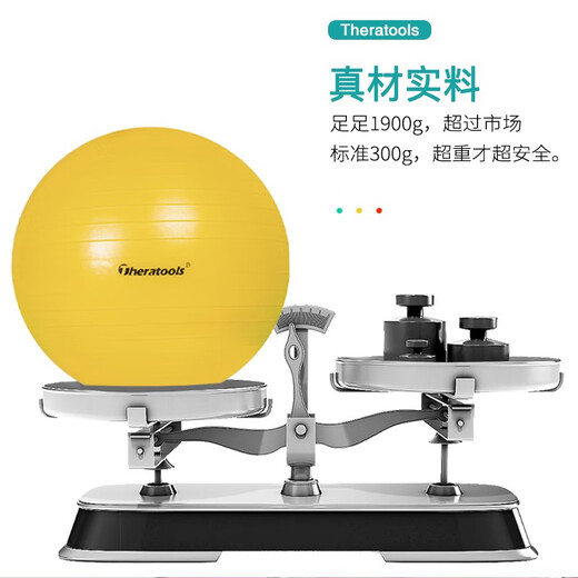 Theratools Pasteur Ball Rehabilitation Training Yoga Ball 55cm Balance Ball Explosion-proof Fitness Adult Pregnant Women Dragon Ball Children's Sensory System Silver Professional Model 85cm Suitable for Sensory Training