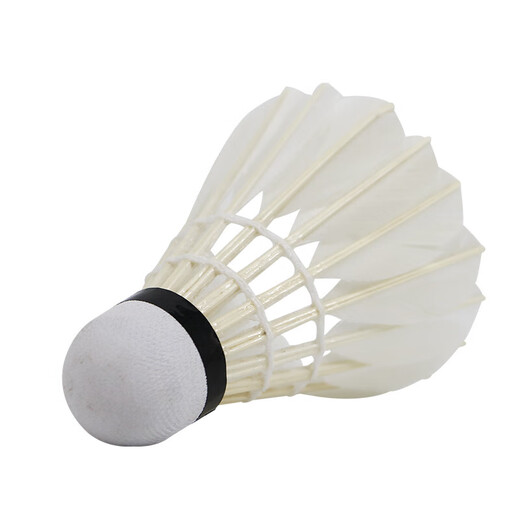 Double Happiness DHS Badminton Durable Training Composite Cork Feather Ball E-EG06 (pack of 6)