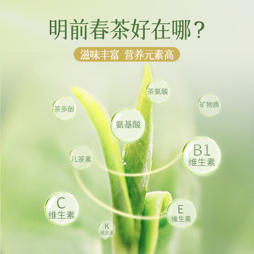 Lancang Ancient Tea Yunnan Pu'er Raw Tea 2024 Jingmai Spring Jingmai Mountain Mingzhou Spring Tea Raw Tea Leaves 200g*1 Cake