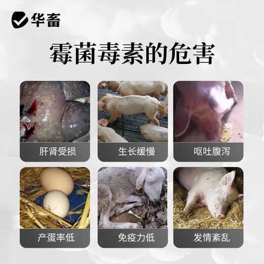 Huazhu veterinary mold removal agent, mold removal net, corn feed for pigs, cattle, sheep, chickens and poultry, mold removal feed additive, mold removal king 1 bag, buy 5 Song 1, double-effect mold removal pioneer 2Jin Jin equal to 0.5 kg