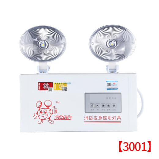 Nast fire emergency light power outage LED emergency lighting evacuation light double head light safety export national standard flame retardant plastic head P3001