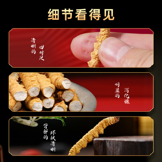 Shouyangtang Cordyceps sinensis 2 Wurzeln/g 20g Cordyceps Geschenkbox Cordyceps Ergänzung High-End-Geschenk [Cordyceps King Geschenk]