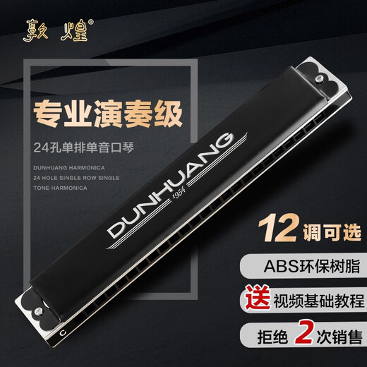 Dunhuang 24-hole monophonic harmonica for beginners with first-hole single-row C-tune harmonica for adult professional playing instrument Y2411 24-hole C-tune matte black (recommended by beginners)
