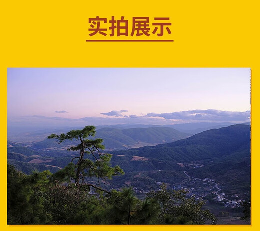 【多期单本】三联生活周刊杂志2025年07月29期总第1348期新 另有2024年往期可选 新闻期刊K 【现货】24年第39期【重读严复】