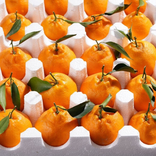 Sanmeng Fruits et légumes Sichuan Chunjian Mandarine Orange fraîche Orange Laid Mandarine Fruit de saison pour les femmes enceintes 5Jin Jin est égal à 0,5 kg. Emballé pour le partage en famille. Délicieux pendant une semaine. Net 4,5Jin Jin est égal à 0,5kg. Fruits de qualité. Jus riche. Fruit unique 70-80 mm.