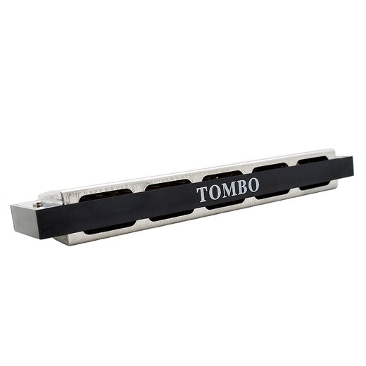 通宝（TOMBO）进口音簧 HOPE系列21孔入门演奏复音口琴多种调可选 6621 21孔大调 E调