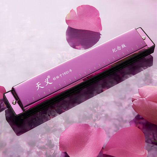 口琴24孔c调复音演奏级成人儿童男女初学者学生入门 宝石蓝+全套