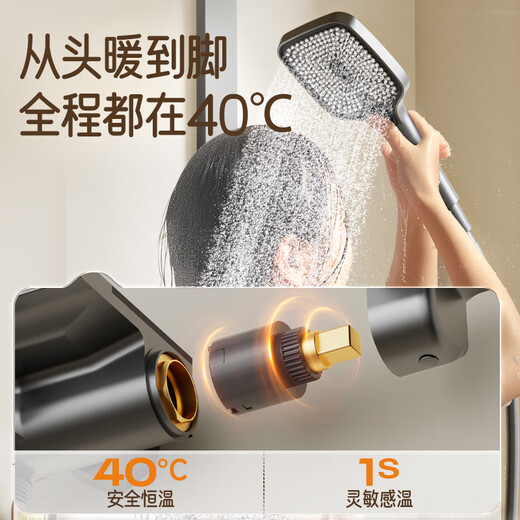 惠达（HUIDA）恒温淋浴花洒套装精铜主体家用浴室卫生间无顶喷全套枪灰DW699