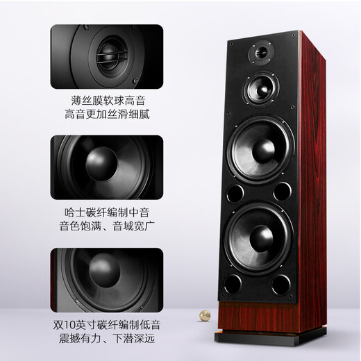 HAX163 Fieber-Grad-HiFi-Sprecher Dual 10-Zoll-Passive Haushaltsholz aus dem HiFi Haushalt Wohnzimmer High Fidelity Fieber-Grad-Audio-Kombination Set 163 Floor-Stufe + 698 Verstärker