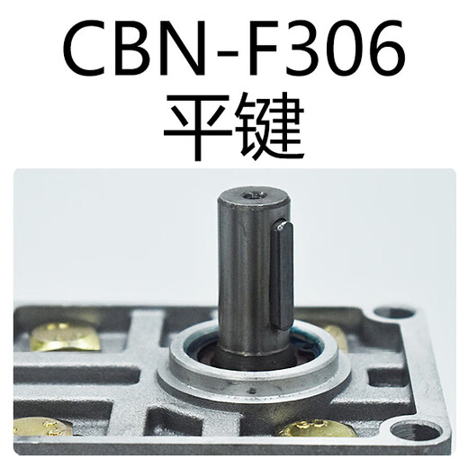 Hydraulic oil pump high pressure gear pump CBNF304 306 308 310 312 314 316 320 325 CBNF308 right flat key